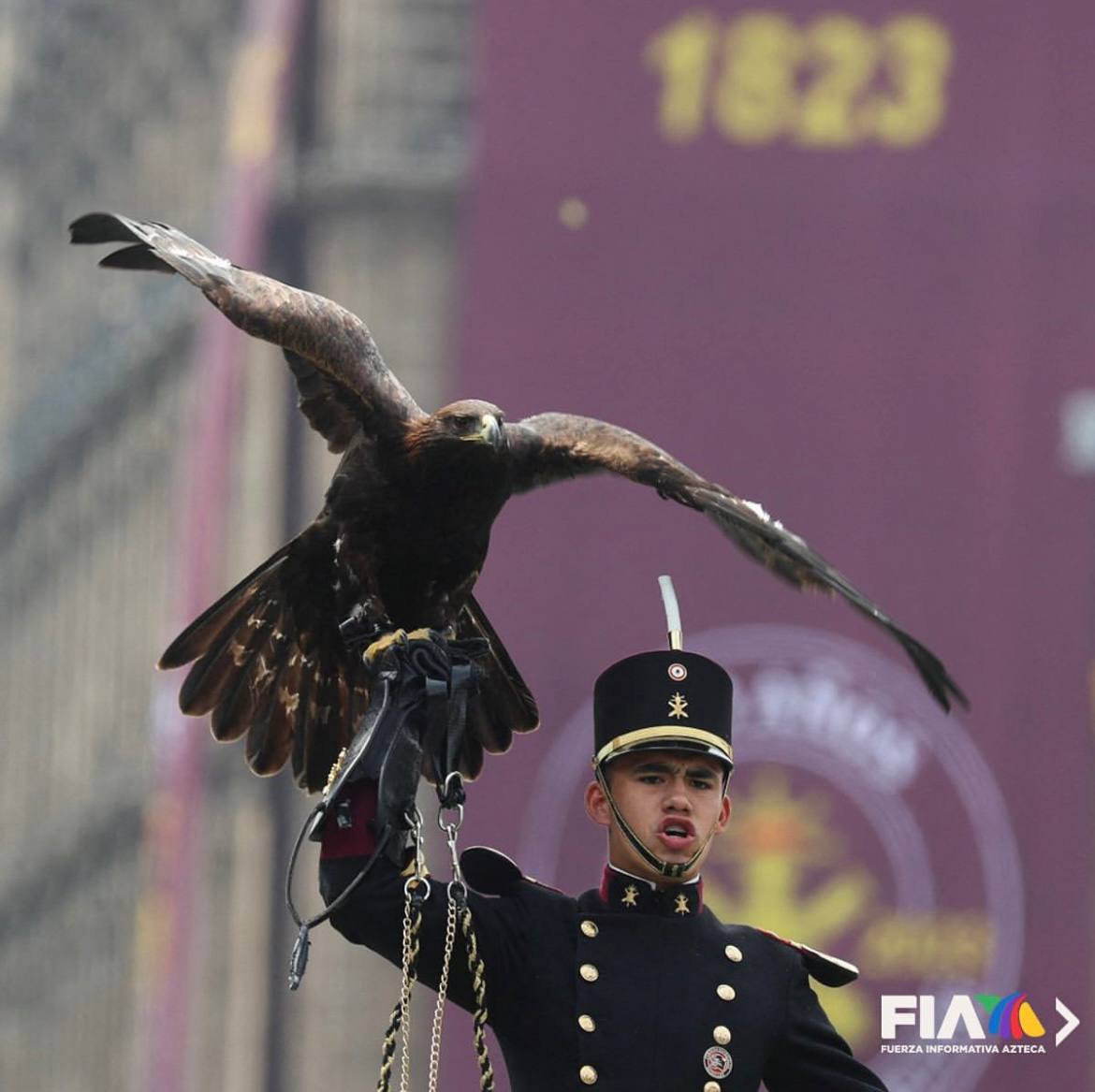 День независимости Мексики 2023: военный парад фото и видео