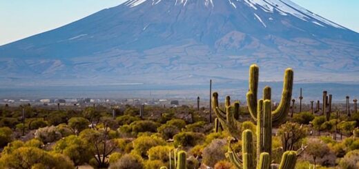 природные зоны Мексики