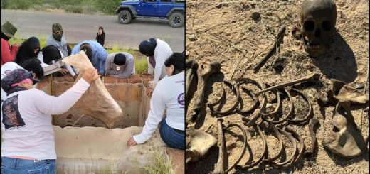 В Соноре найдены останки и вещи пропавших В Соноре найдены останки и вещи пропавших