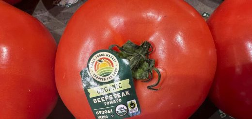 Шейнбаум ответила на тариф США на мексиканские томаты Шейнбаум ответила на тариф США на мексиканские томаты