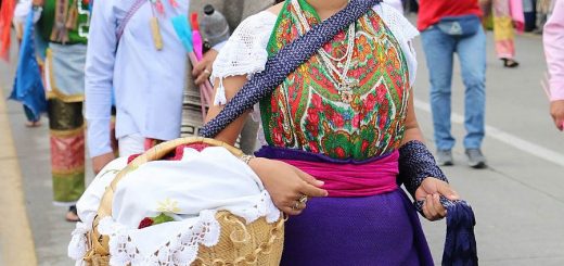 Второй Парад Делегаций Гуэлагецы 2025: праздник души Оахаки Второй Парад Делегаций Гуэлагецы 2025: праздник души Оахаки