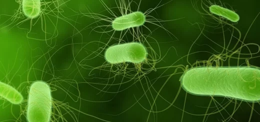 Магнитные пловцы: прорыв в медицине и промышленности Магнитные пловцы: прорыв в медицине и промышленности