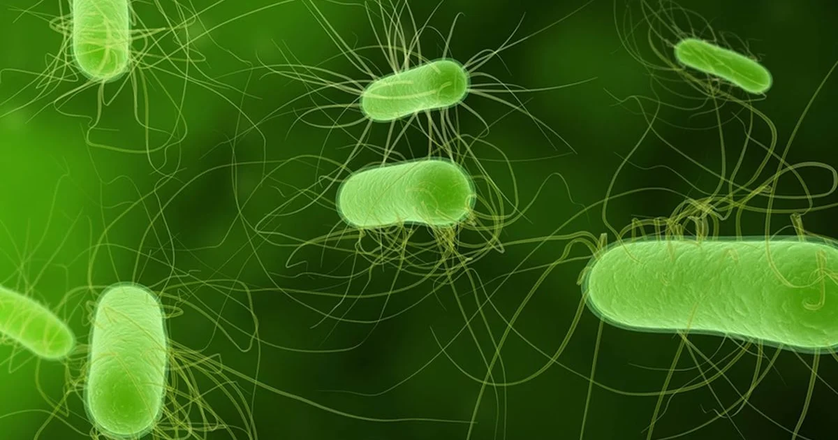 Магнитные пловцы: прорыв в медицине и промышленности