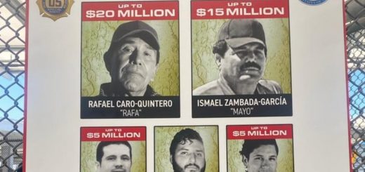 Картель Синалоа внедрил шпионов в мексиканские власти Картель Синалоа внедрил шпионов в мексиканские власти