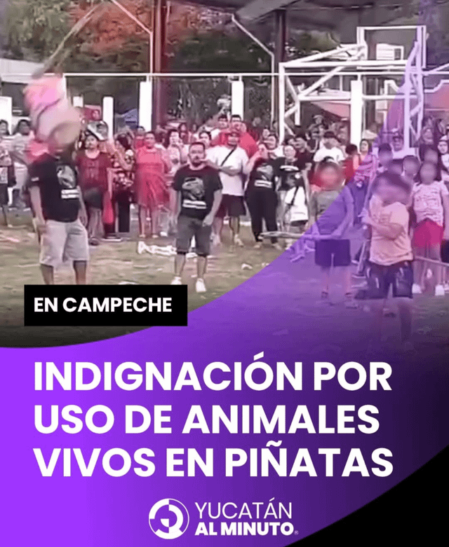 Возвращение в школу: Оахака тратит тысячи песо